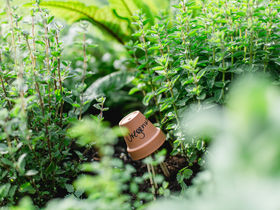 Auszeit nach Weihnachten buchbar für den Zeitraum 26.-27. Dezember 2025