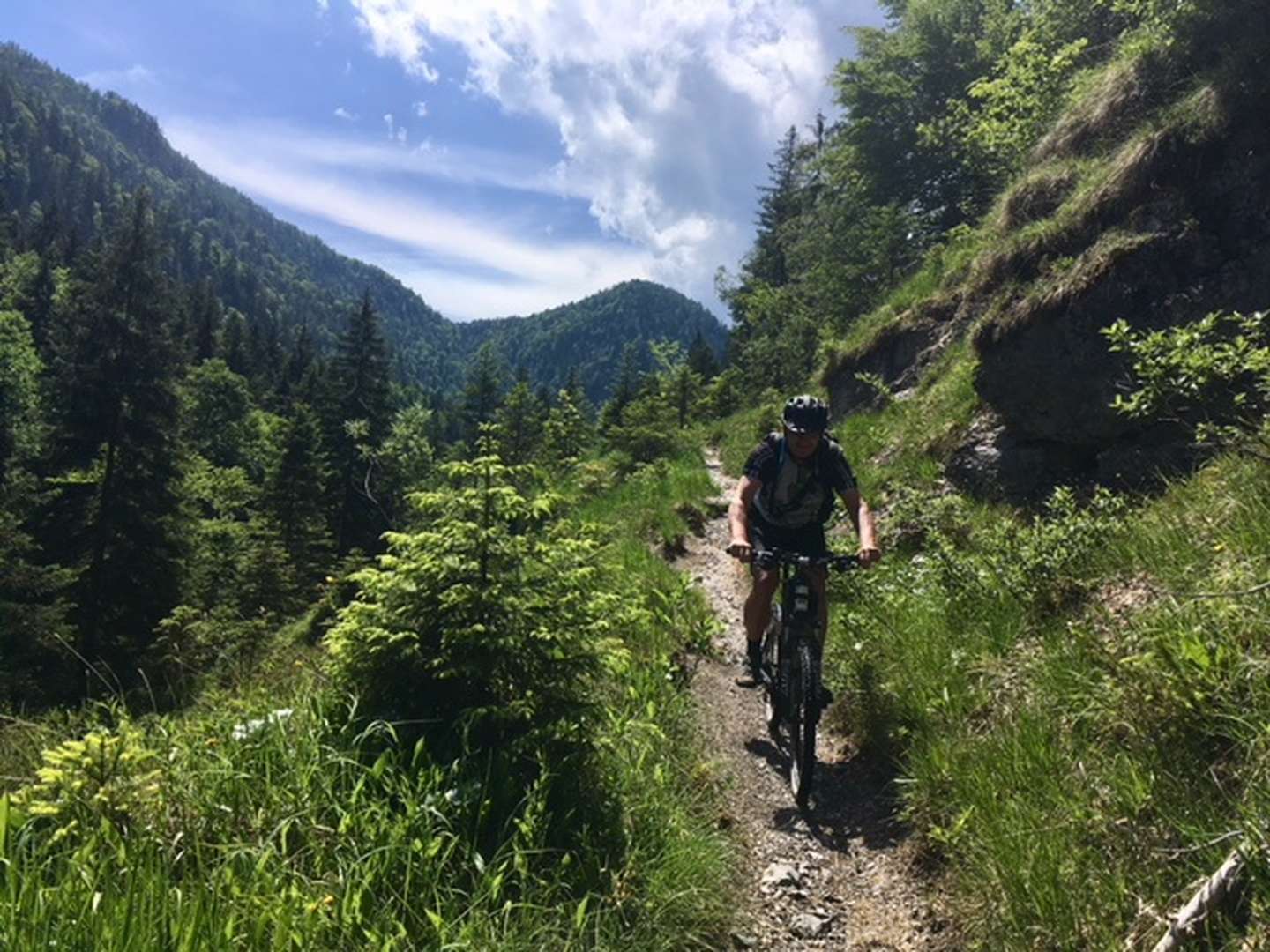 Natur pur - kurze Auszeit im Salzburger Saalachtal | 7 Nächte