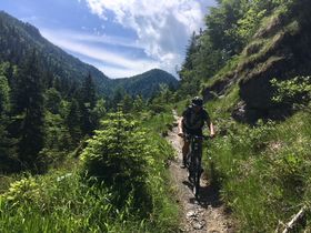 Aktivurlaub - Bike-Tage im Salzburger Land inkl. Vorteilskarte | 4 Nächte