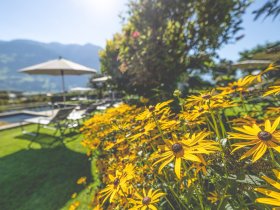 Wellness & Genuss in Fügen im Tiroler Zillertal | 7 Nächte