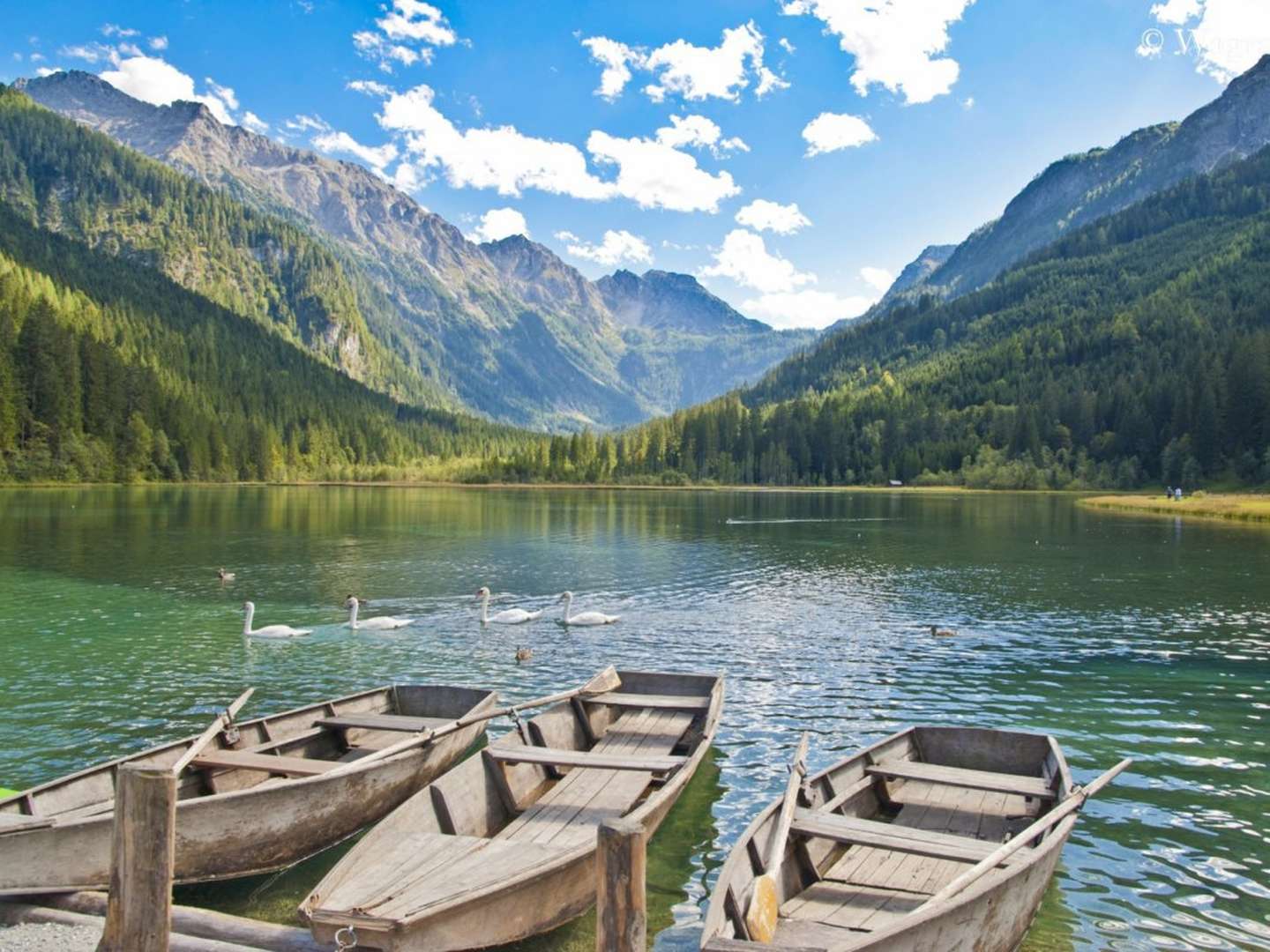 Aktiv in den Herbst starten - Urlaub im Salzburger Land | 3 Nächte ll