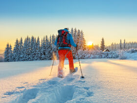 Pulverschnee & Sonnenski in Kleinarl - Winterurlaub inkl. Schneeschuhwanderung | 7 Nächte