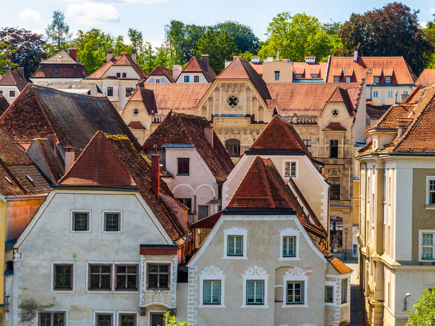 Ihre Ruheoase in der Altstadt Steyr | 2 Nächte im Appartementhaus - Hide away