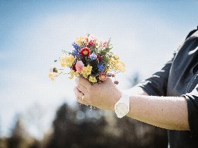 Frühlingserwachen im Schilcherland inkl. Halbpension | 4 Tage