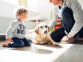 5 Tage Harry's 4=3 Aktion