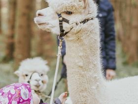 4=3 Special 2025 - Kurzurlaub zum Vorteilspreis in Graz