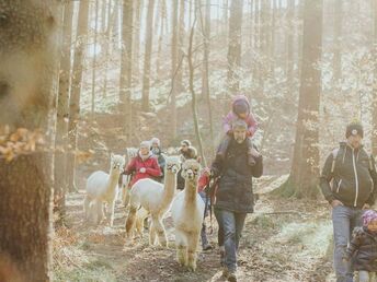 Wandern mit Erlebnisfaktor! | Geführte Alpakawanderung durch das Grazer Schöcklland | 4 Tage