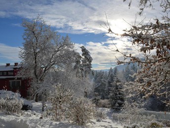 Silvester romantisch & außergewöhnlich in Kärnten | 7 Nächte  