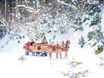 Auszeit in die Natur vom Salzburger Land inkl. Vollpension | 3 Nächte