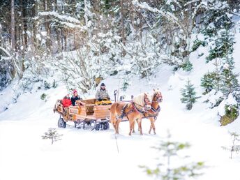 Herbstauszeit mit der Familie in der Salzburger Bergwelt inkl. Kinderbetreuung | 5 Nächte  