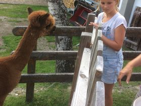 Bike & Hike in der Salzburger Sportwelt