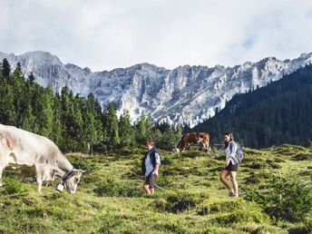 Wandertage bei Seefeld inkl. aktivierende Rückenmassage