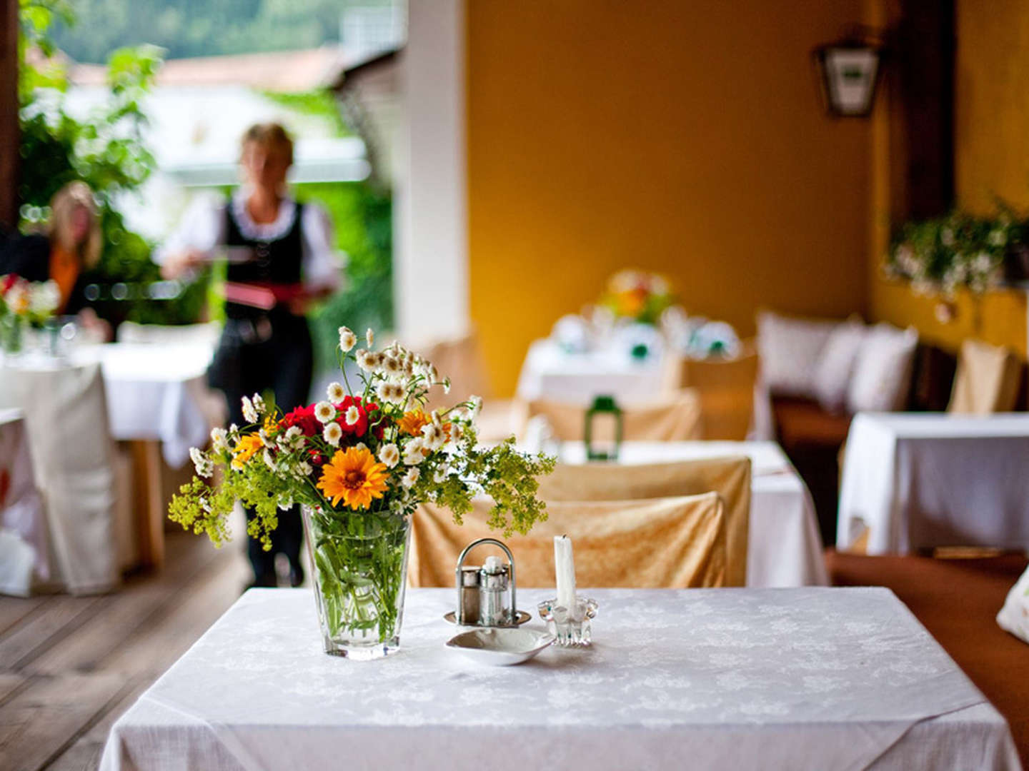 Winterspaß Pur in der Region Murau-Kreischberg inkl. Abendessen | 4 Nächte