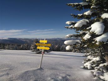 Winterfrische im malerischen Murau nahe dem Skigebiet Kreischberg | 1 Nacht