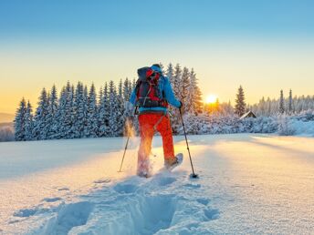 Winterspaß Pur in der Region Murau-Kreischberg inkl. Abendessen | 2 Nächte