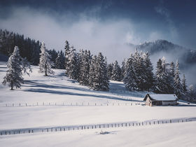 Wandergenuss auf der Alm – mitten im Naturpark auf 1.200 Metern | 3 Nächte inkl. 4-Gang-Menü