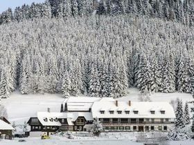 Wandergenuss auf der Alm – mitten im Naturpark auf 1.200 Metern | 3 Nächte inkl. 4-Gang-Menü