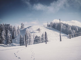 Wandergenuss auf der Alm – mitten im Naturpark auf 1.200 Metern | 3 Nächte inkl. 4-Gang-Menü