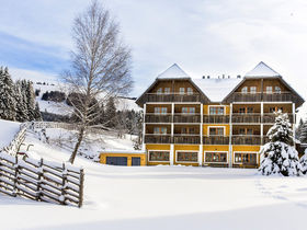 Weihnachtsidylle & Urlaubsglück am Teichalmsee inkl. 4-Gang-Menü | 3 Nächte