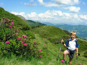 Last Minute Herbsturlaub Natur-Auszeit inkl. Gastein-Card 