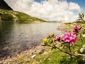 Last Minute Herbsturlaub Natur-Auszeit inkl. Gastein-Card 