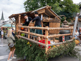 Last Minute Herbsturlaub Natur-Auszeit inkl. Gastein-Card 