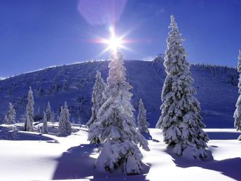 Genussurlaub im Herzen der Ybbstaler Alpen inkl. Wunder Card | 4 Nächte