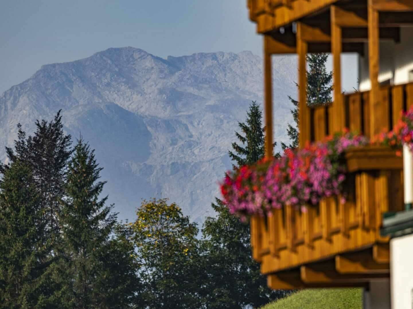 Genussurlaub im Herzen der Ybbstaler Alpen inkl. Wunder Card | 2 Nächte 