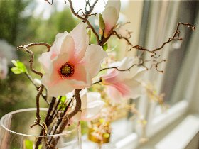 Thermen-Genuss inkl. Eintritt in die Parktherme im südsteirischen Kurort | 1 Nacht