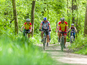 Thermen-Genuss inkl. Eintritt in die Parktherme im südsteirischen Kurort | 1 Nacht