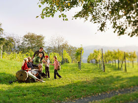 Thermen-Genuss inkl. Eintritt in die Parktherme im südsteirischen Kurort | 1 Nacht