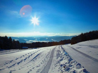 Winterzauber im Haagerhof  mit Frühstück  7 Nächte    