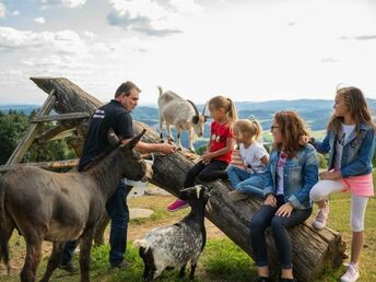 Mühlviertler Traumtage - Auszeit im Böhmerwald | 3 Nächte 