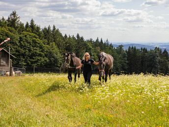 Mühlviertler Traumtage - Auszeit im Böhmerwald | 7 Nächte