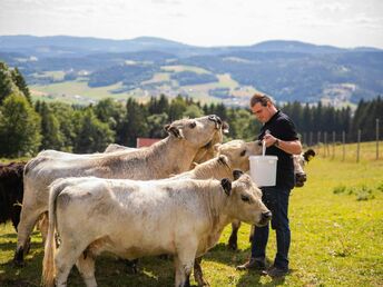 Mühlviertler Traumtage - Auszeit im Böhmerwald | 7 Nächte