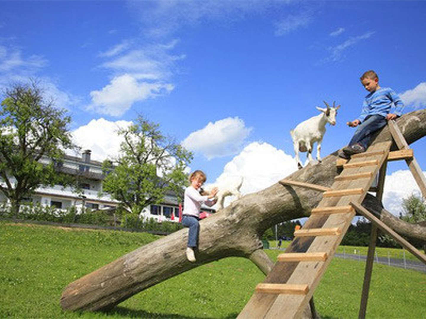 Winterzauber im Haagerhof  mit Frühstück  4 Nächte 