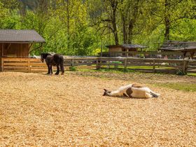 Wochenend-Urlaub mit der Familie im Kinderhotel Appelhof | 2 Nächte