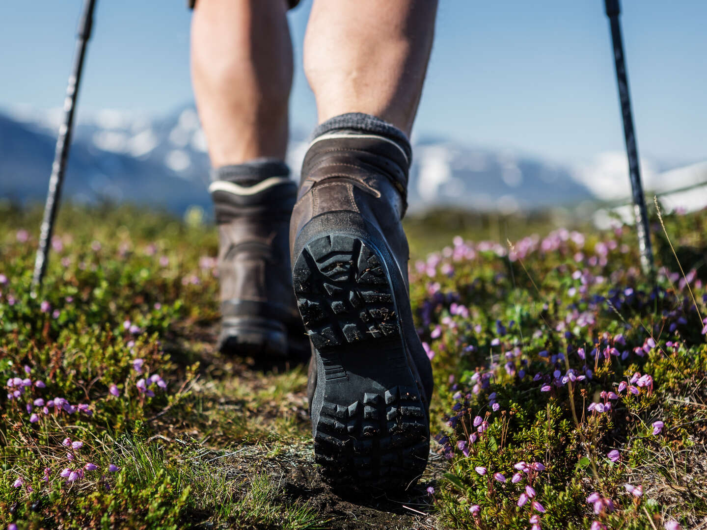 Wanderurlaub für Bergverliebte - Abenteuer mit der LungauCard | 3 Nächte