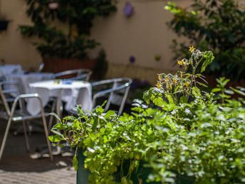 Mädelsauszeit in Wien - Bussi, Baba & Sektgenuss | 3 Nächte