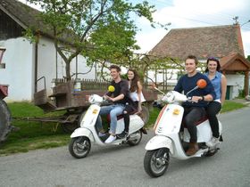 Auf den Spuren des Wein im idyllischen Weinviertel I 2 Nächte