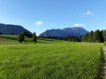 Sommerurlaub in der Steiermark inkl. Halbpension & Schladming-Dachstein Sommercard | 5 Nächte