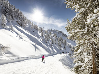 7 Tage Wintervergnügen Ötztal - Skibus direkt ab Hotel