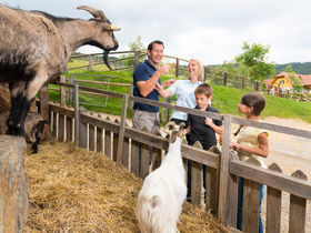 Ahoi Mädels. Cliquentage im kleinen Haus am Wald | 2 Nächte
