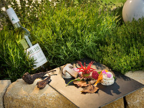 Ahoi Mädels. Cliquentage im kleinen Haus am Wald | 2 Nächte