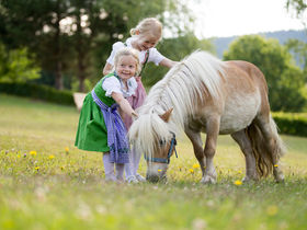 Ahoi Mädels. Cliquentage im kleinen Haus am Wald | 2 Nächte