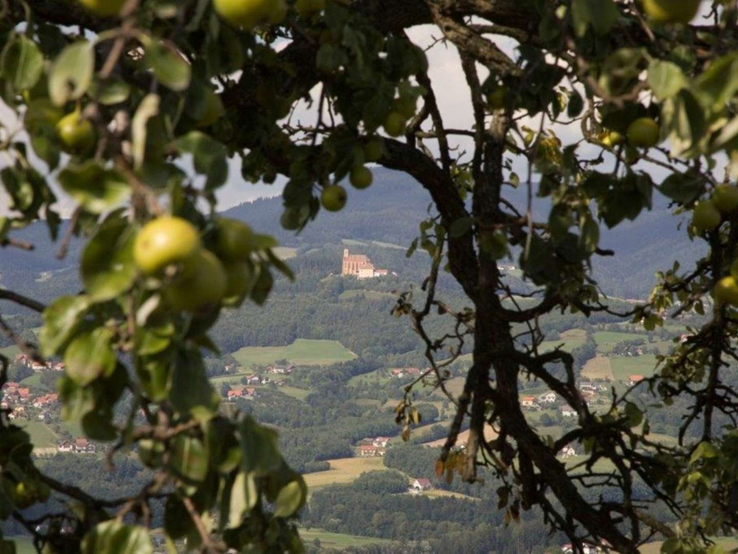 Auszeit im steirischen Pöllauer Tal inkl. Verwöhnpension & GenussCard | 3 Nächte