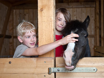 Tierisches Landerlebnis in der Steiermark – Familienurlaub mit Alpaka-Wanderung  I 3 Nächte