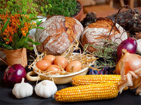 Wein & Kulinarik – Kurzurlaub in der Südsteiermark I 2 Nächte