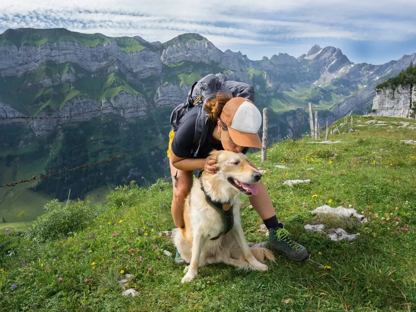 Urlaub mit Hund in Oberösterreich: 7 Nächte voller Abenteuer und Erholung für alle!   