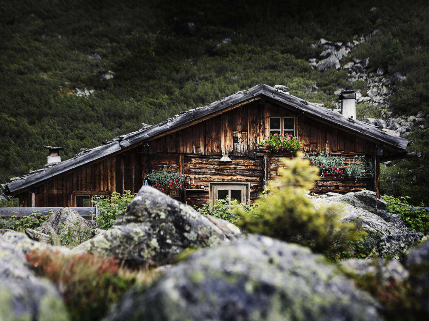 Bunte Tiroler Herbstwoche im Stubaital | 7 Nächte